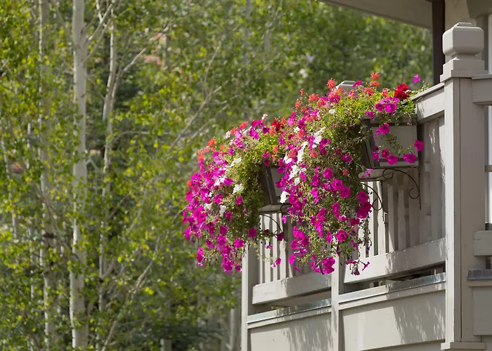 Sonnenalp Hotel Vail